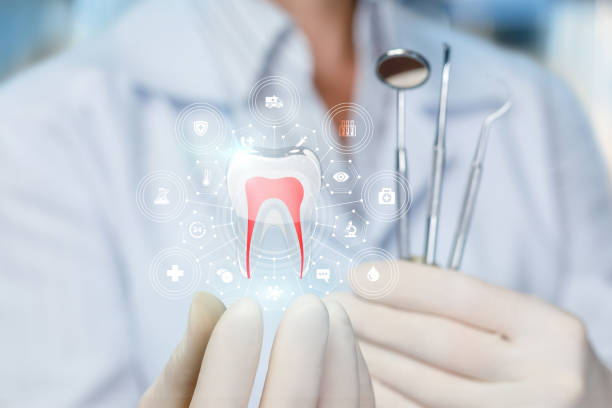 Professional Holistic Dental Care Services in Holbrook, AZ